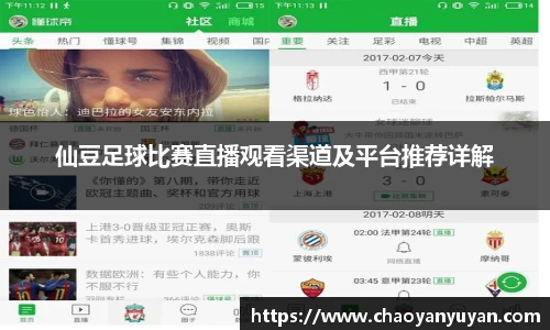 仙豆足球比赛直播观看渠道及平台推荐详解